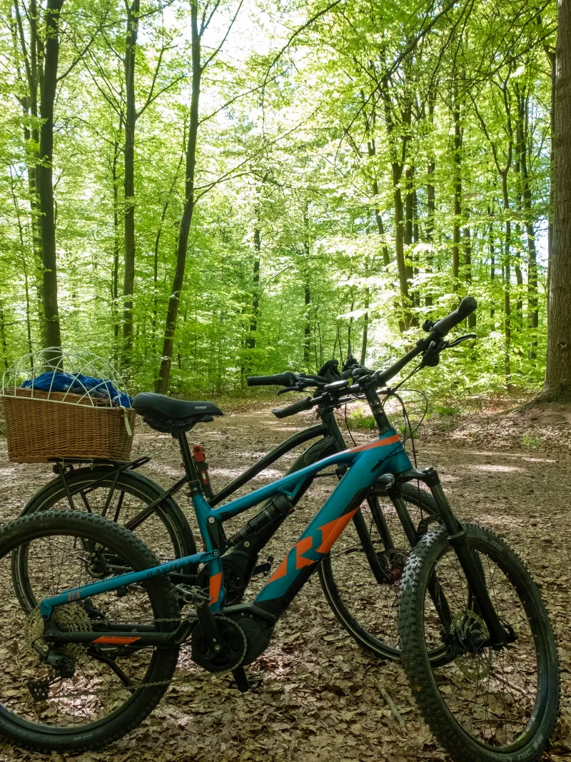 E-Bikes im Buchenwald, ideal für Radtouren am Edersee