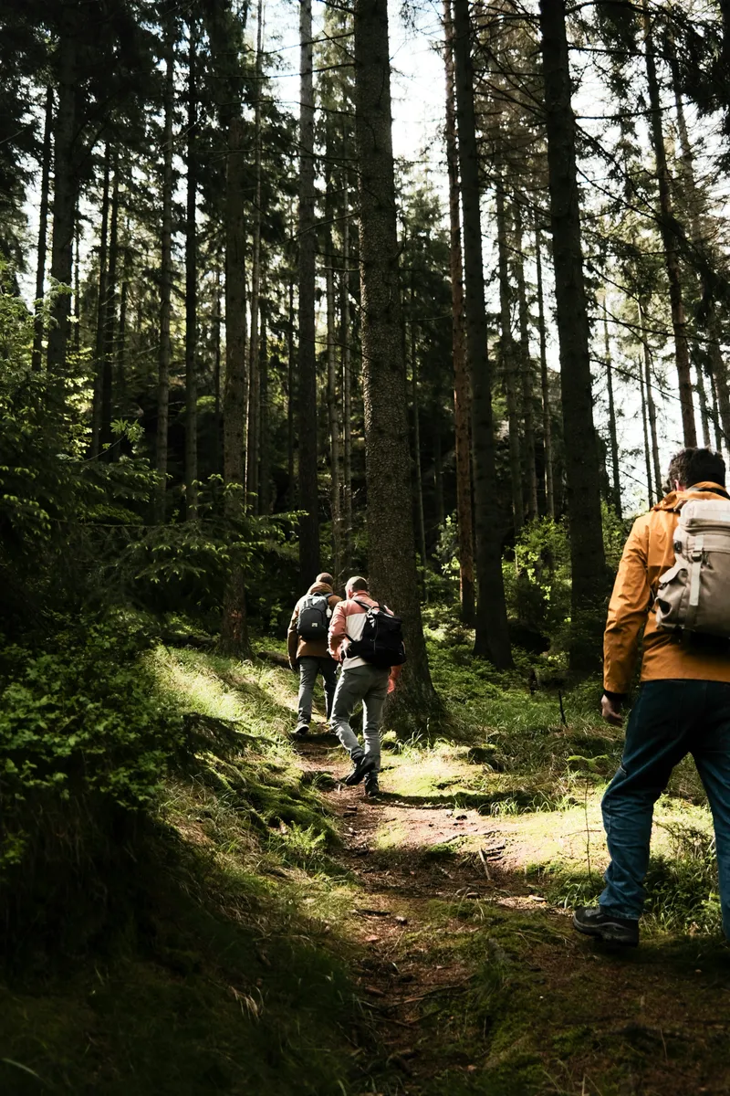 Wandergruppe auf einem Waldpfad im Nationalpark Kellerwald-Edersee